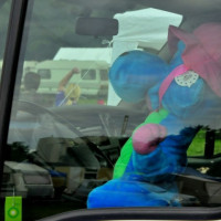 hokersweekend 2018 zelhem 586    small 